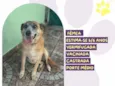Tieta