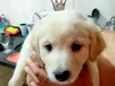 Laka bb2 meses linda 