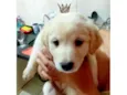 Laka bb2 meses linda 