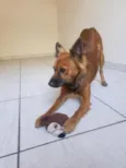 Zeus