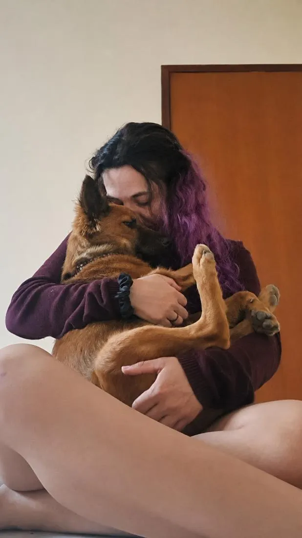 Cachorro raça SRD-ViraLata idade 7 a 11 meses nome Zeus
