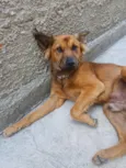 Zeus