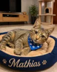Mathias 