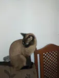Dandara e Jamile