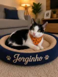 Jorginho 