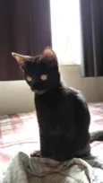 Lua