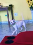 Maylon 