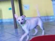 Maylon 