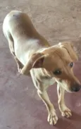 BOB