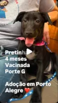 Pretinha