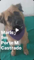 Marley
