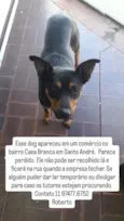 Tobby