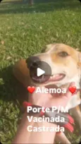 Alemoa