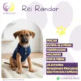 Rei Randor