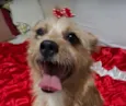 Zoe