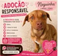 Neguinha