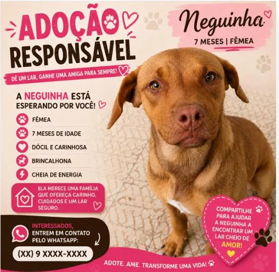 Cachorro raça SRD-ViraLata idade 7 a 11 meses nome Neguinha