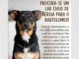 Bartolomeu