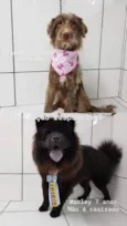 Marley e Princesa