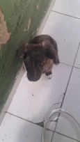 ainda não tem nome