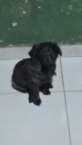 ainda não tem nome