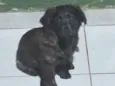ainda não tem nome
