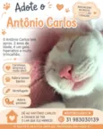 Antônio Carlos