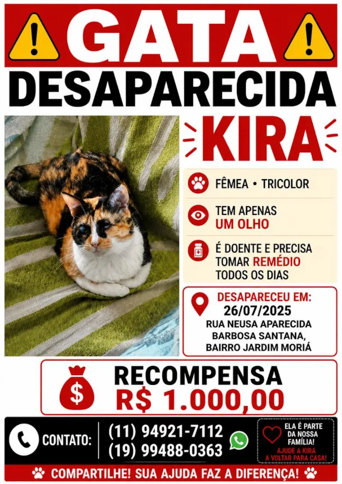 Gato raça SRD-ViraLata idade 4 anos nome Kira