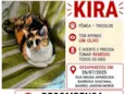 Kira