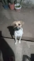 Bobby