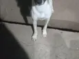 Bobby