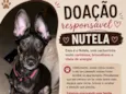 Nutela