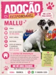 Mallu