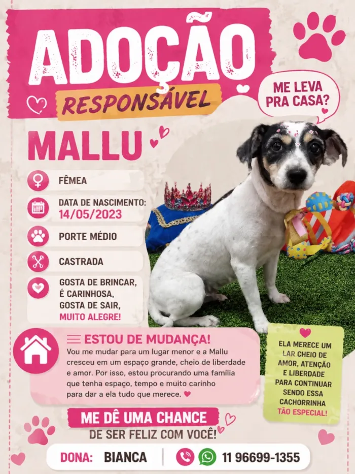 Cachorro raça SRD-ViraLata idade 2 anos nome Mallu