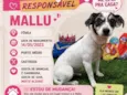 Mallu