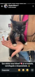 Lila