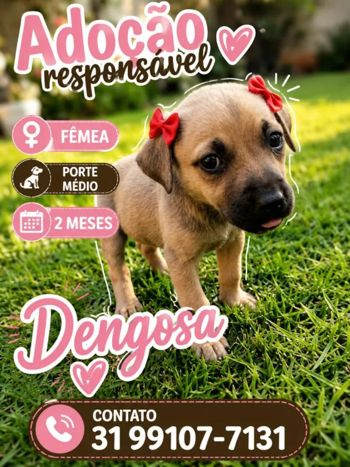 Cachorro raça SRD-ViraLata idade 2 a 6 meses nome Dengosa