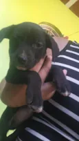Neguinha 