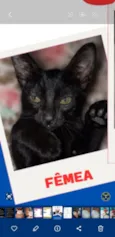 Esmeralda