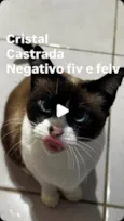 Cristal