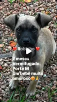 Robinho