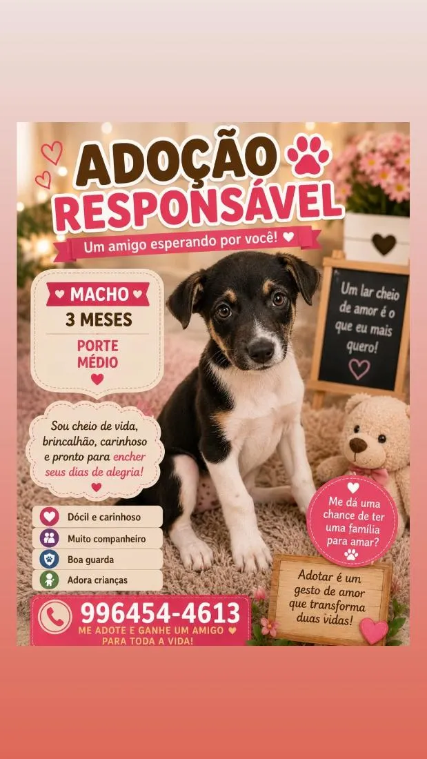 Cachorro raça SRD-ViraLata idade 2 a 6 meses nome filhotes