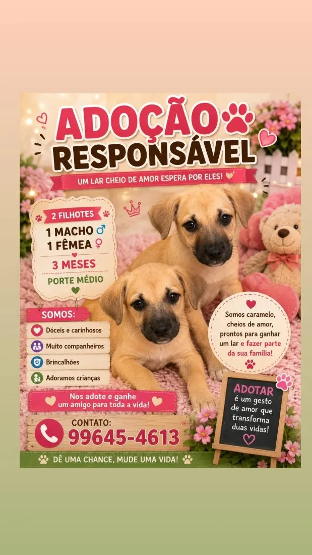 Cachorro raça SRD-ViraLata idade 2 a 6 meses nome filhotes