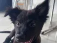 Coutinho