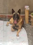 kalel