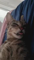 Tina