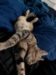 Tina
