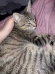 Tina