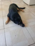 Sadan