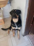 Sadan